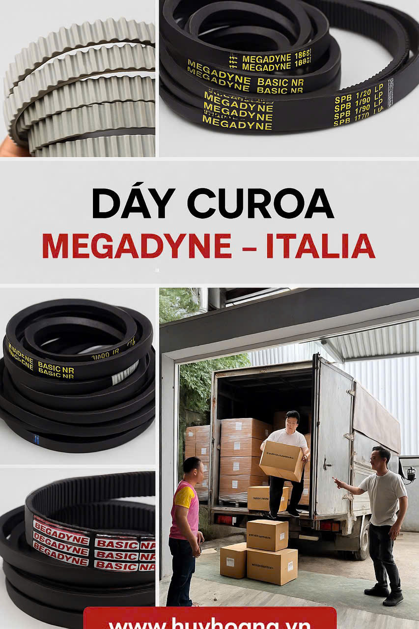 MEGADYNE