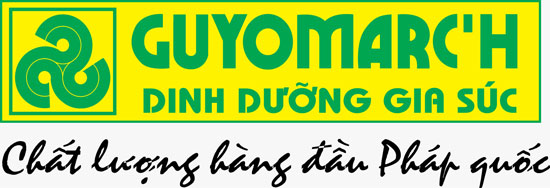 http://www.invivo-nsa.com.vn/